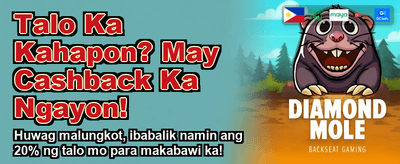 Spin and Win Big Today! banner